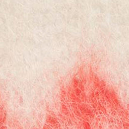 Dayna scarf