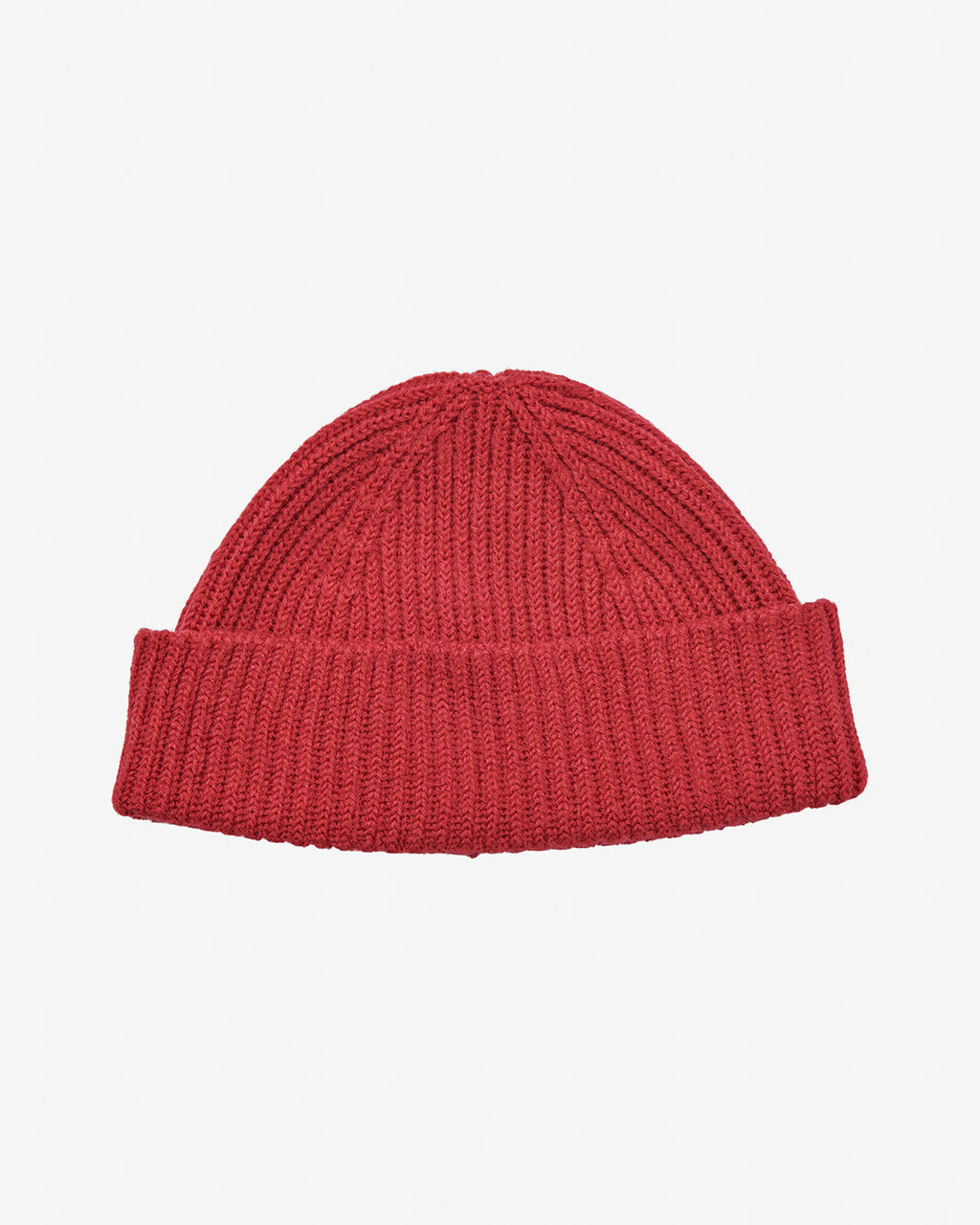 ZAMIA BEANIE